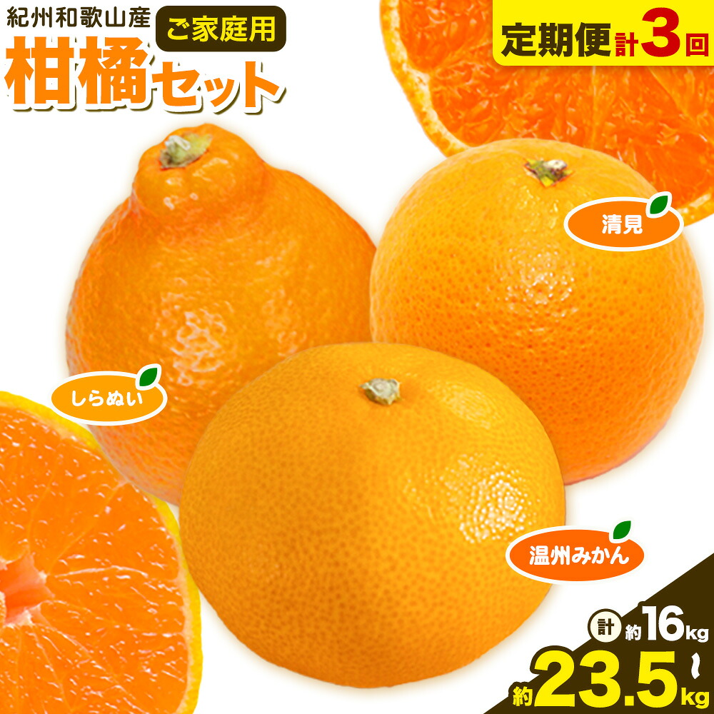 訳あり みかん 選べる 5kg 10kg (サイズおまかせ) どの坂果樹園《12月上旬-2027年2月上旬頃出荷予定》 和歌山県 日高町 産地直送 家庭用 規格外 不揃い 果物 柑橘 サイズ 不選別 訳ありみかん